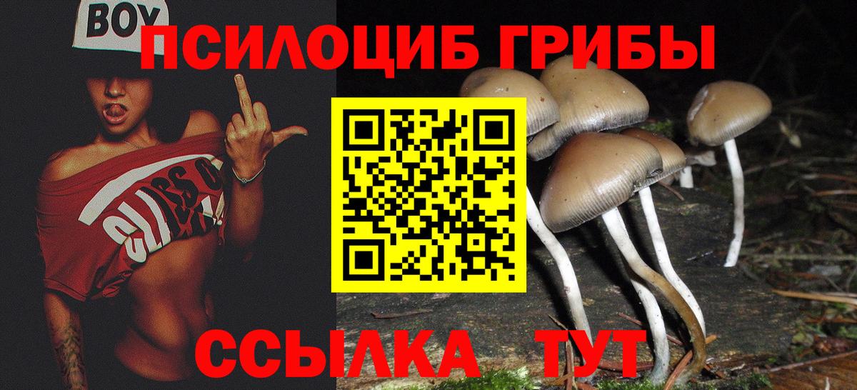 Псилоцибиновые грибы Psilocybe  Вход с VPN  Галлюциногенные грибы Cubensis  Казань 