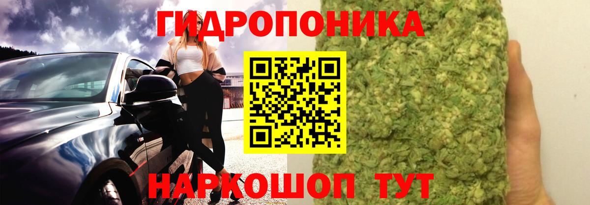 Бошки Шишки тримм  Канабис индика  Вход с VPN  Казань  Бошки марихуана конопля  Каннабис Bruce Banner 